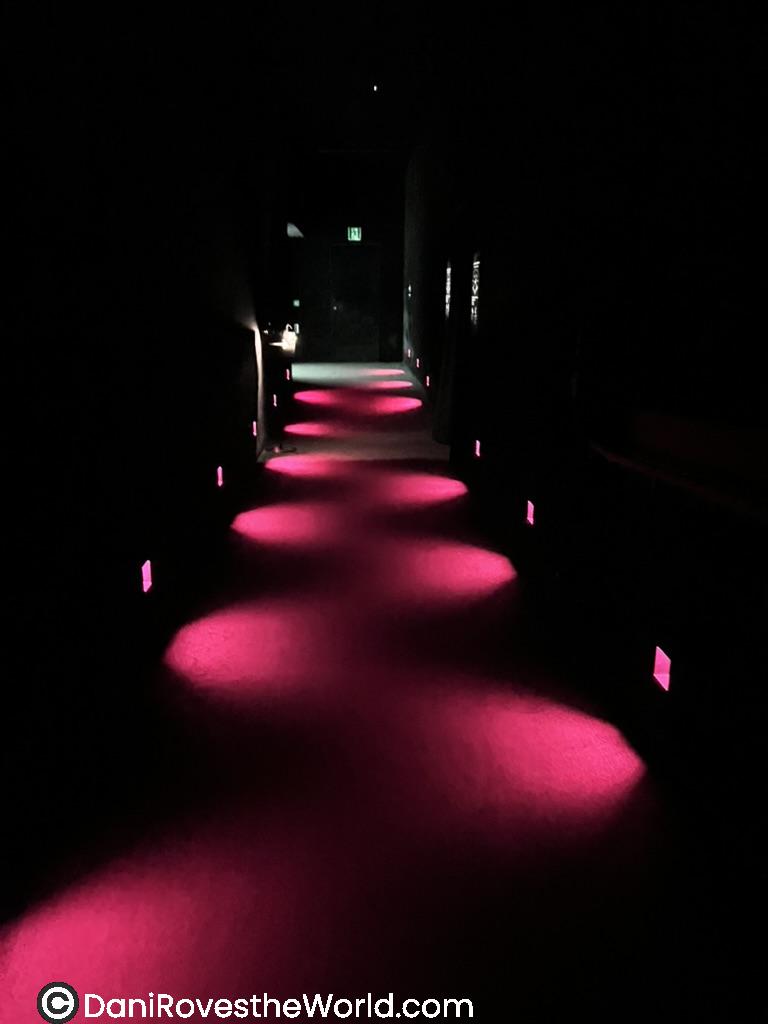 Illuminated Hallway: A dark hallway illuminated by a series of circular pink lights on the floor, creating a futuristic and atmospheric feel. The small square lights along the wall guide the path towards an exit in the distance.