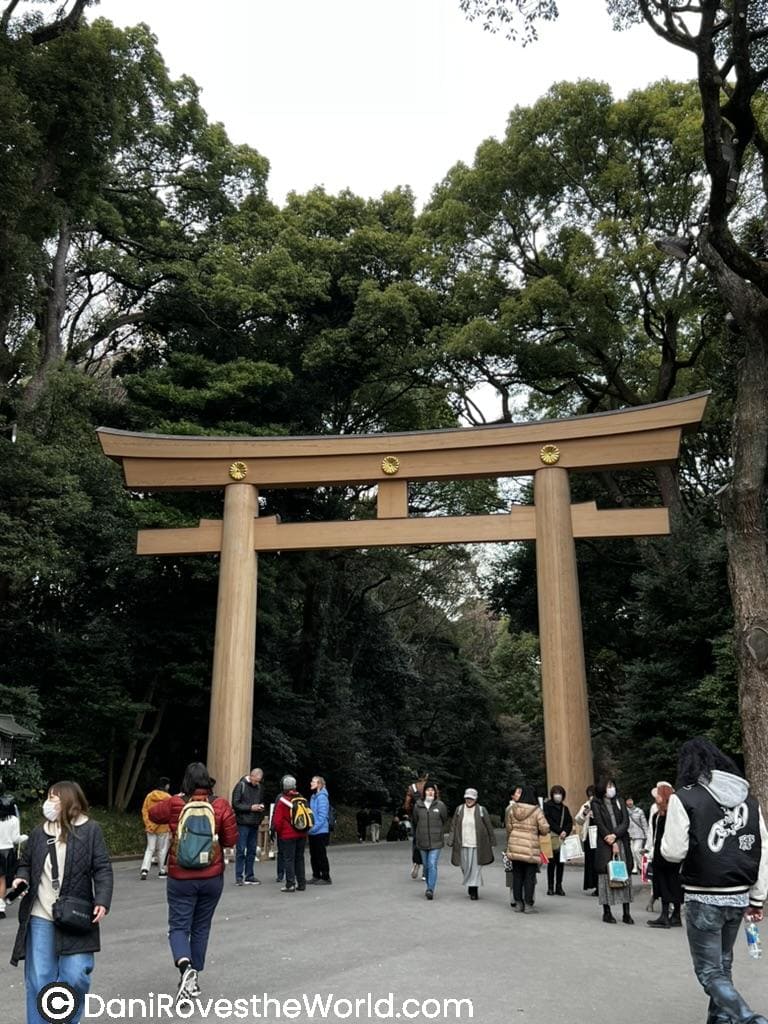 The large wooden torii gate at the entrance to Meiji Shrine in Tokyo, surrounded by tall trees. People are gathered and walking in front of the gate, some wearing masks and bundled in winter clothing.