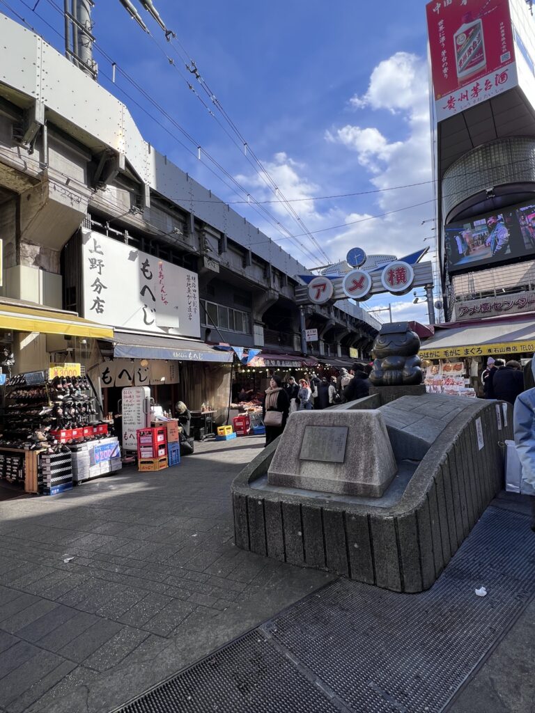 Local shops and market stalls along Ameya-Yokocho Market, one of Tokyo’s most famous street markets.