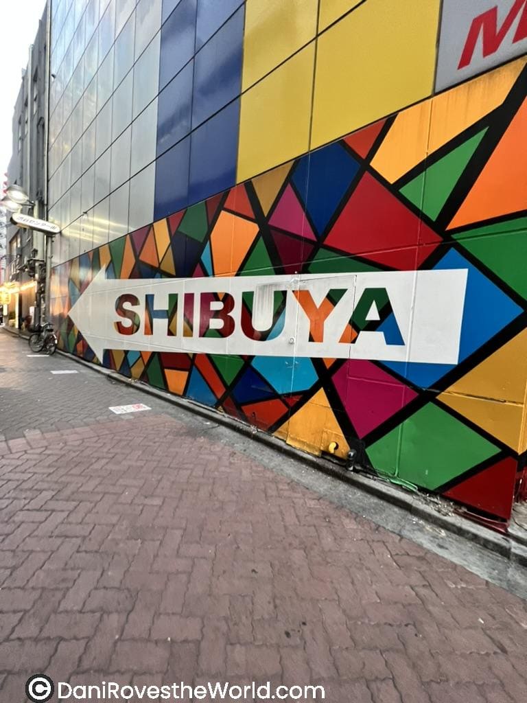 How to Spend a day in Shibuya