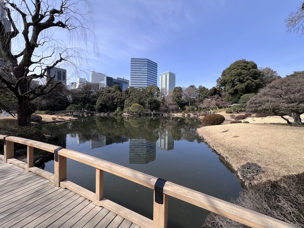 Scenic pond and landscaped gardens at Shinjuku Gyoen National Garden on a clear day in Tokyo
