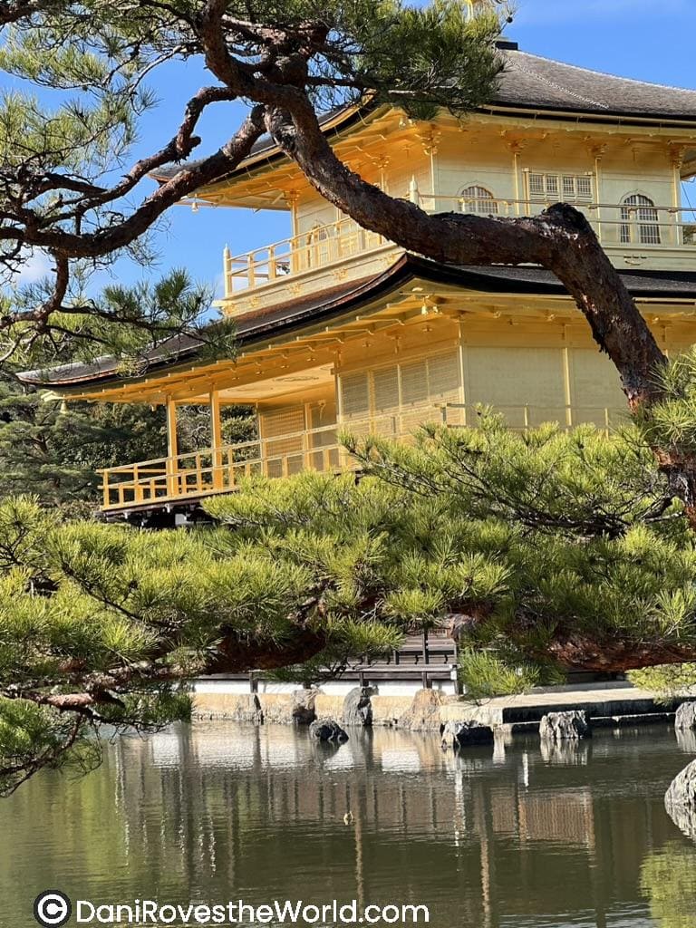 The shimmering golden pavilion of Kinkaku-ji reflected in a serene pond, surrounded by lush greenery and framed by a picturesque pine tree.