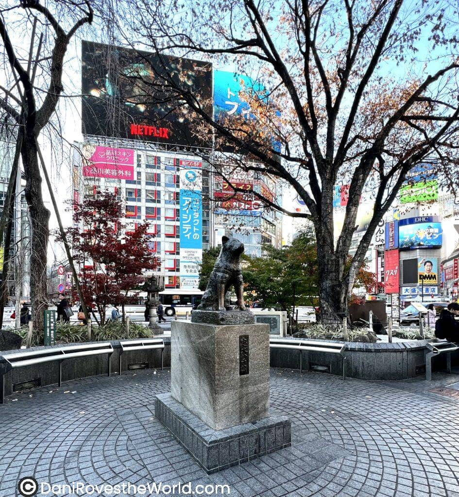 he famous Hachiko statue in Shibuya, Tokyo. The bronze statue of a dog, Hachiko, is centered in the foreground, surrounded by a circular stone plaza and benches, with the vibrant, colorful billboards of Shibuya in the background