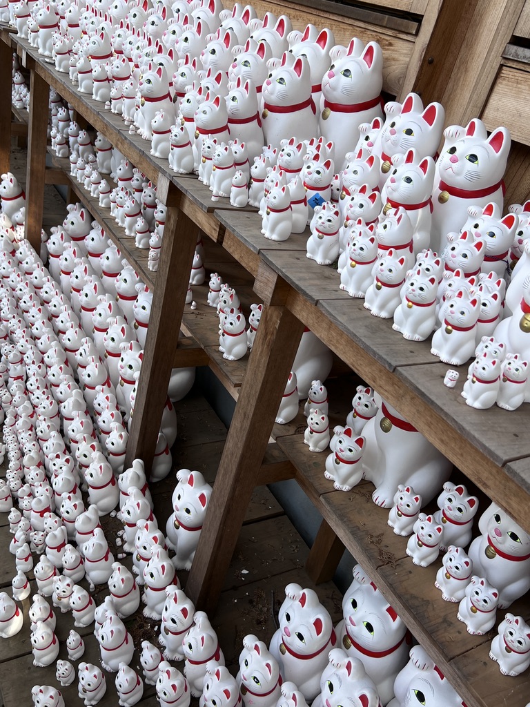 Hundreds of white maneki-neko lucky cat statues displayed at Gotokuji Temple, a famous temple known for its lucky cat figurines.