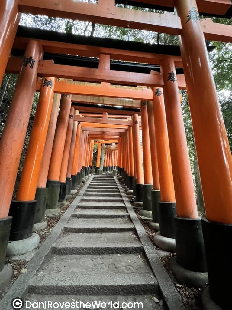 A pathway of vibrant orange torii gates at Fushimi Inari Shrine, creating a tunnel-like effect leading up a stone staircase under a canopy of greenery.