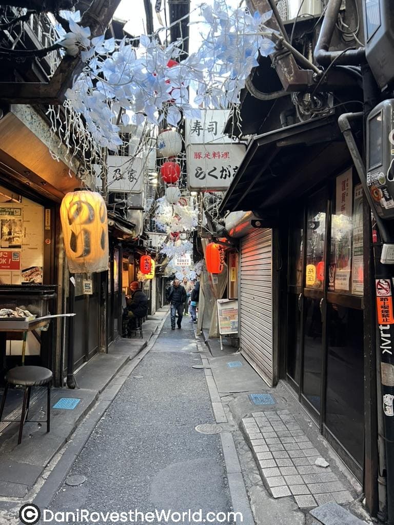 Piss Alley in Tokyo Japan should be added to your itinerary as a first timer to Japan