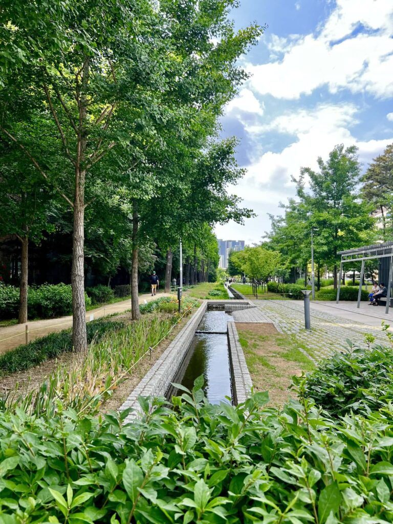 Cheonggyecheon stream in Seoul with walking paths, lush trees, and a small canal, offering a serene escape from the city's busy streets."
