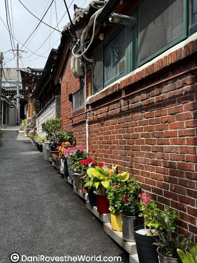 A quiet alley in Bukchon Hanok Village in Seoul, lined with potted plants and traditional Korean houses. A peaceful moment to enjoy during a one-day tour of Seoul’s historic areas.