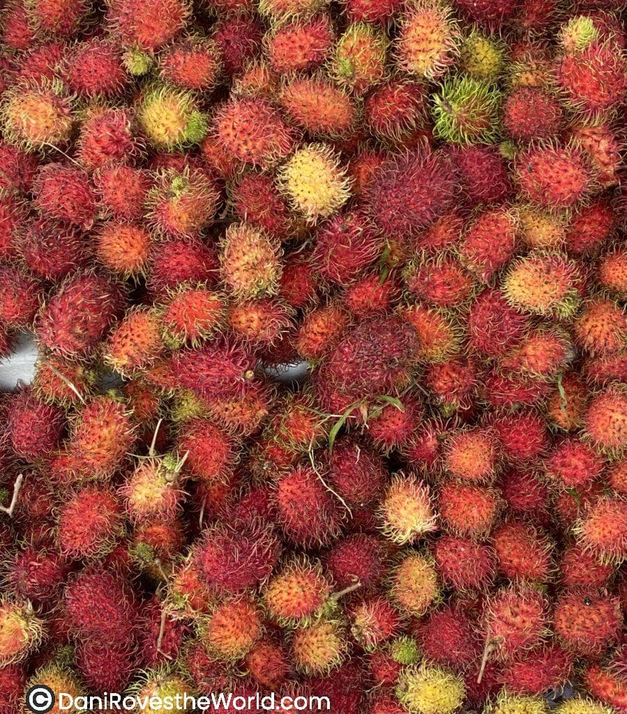 A close-up of bright red rambutan fruits, a tropical delicacy, often found in Southeast Asian markets. Rambutans offer a delicious and exotic snack for solo travelers trying local food during their adventures abroad.