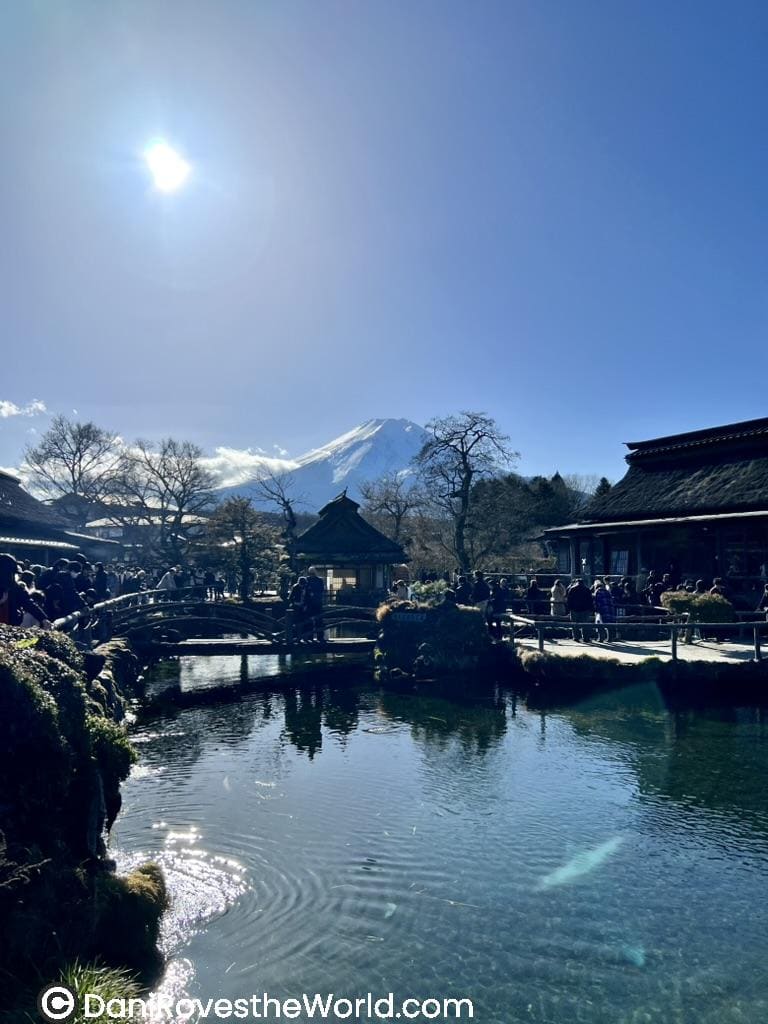  A calm pond reflecting sunlight with traditional Japanese architecture and a distant view of Mount Fuji framed by bare winter trees and a clear blue sky.