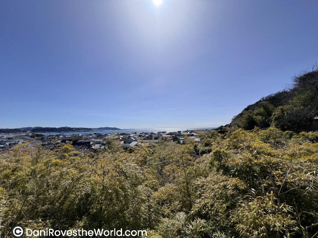 A sweeping view over Kamakura’s rooftops and coastline, seen from a hilltop lined with bamboo—offering a peaceful panorama perfect for a quiet Tokyo escape.
