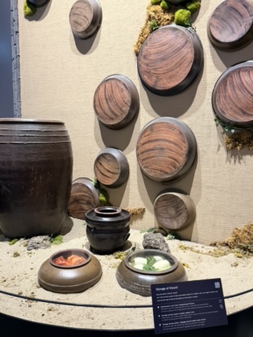 Traditional Korean kimchi fermentation display with clay jars, wooden lids, and seasonal ingredients inside a museum exhibit.
